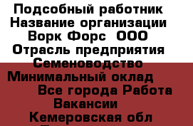 Подсобный работник › Название организации ­ Ворк Форс, ООО › Отрасль предприятия ­ Семеноводство › Минимальный оклад ­ 30 000 - Все города Работа » Вакансии   . Кемеровская обл.,Прокопьевск г.